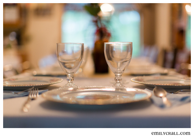 60thBirthday © Emily Crall Photography-111-2