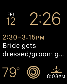 Apple Watch Modular Face