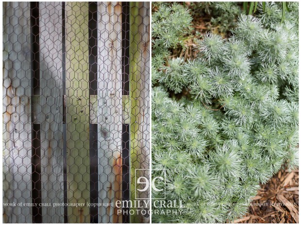 exploring lake mcbride's raptor center - Emily Crall Blog | Wedding ...