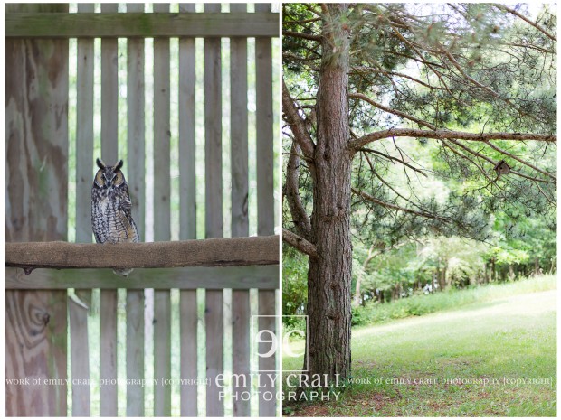 exploring lake mcbride's raptor center - Emily Crall Blog | Wedding ...