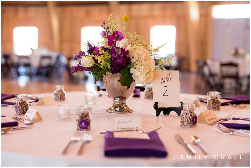 Celebration Farm Wedding-TaylorMick © Emily Crall_0244.jpg
