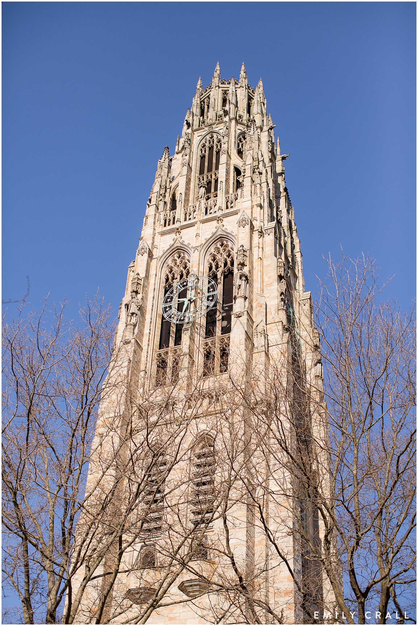 Yale_University_EmilyCrall_Photo_0115.jpg
